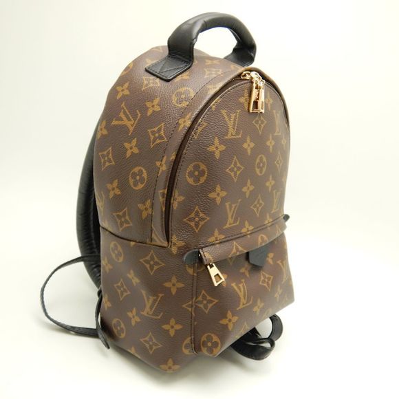 Louis Vuitton Monogram Palm Springs Backpack PM Brown Rucksack - Picture 5 of 6